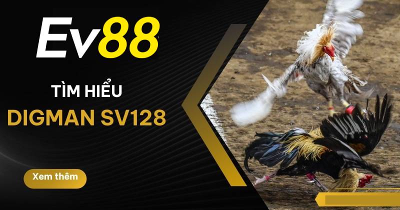 Giới Thiệu Sảnh Sv128 Tại Ev88 - Trải Nghiệm Đá Gà Đỉnh Cao 1 Gioi Thieu Sanh Sv128 Tai Ev88 Trai Nghiem Da Ga Dinh Cao