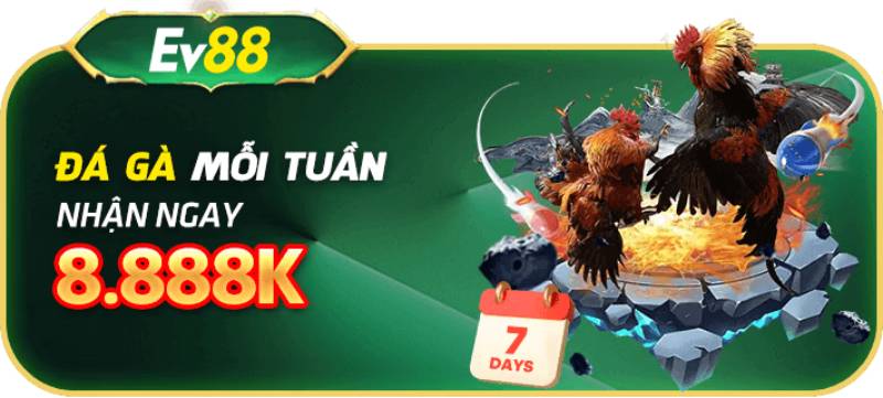 Giới Thiệu Sảnh Sv128 Tại Ev88 - Trải Nghiệm Đá Gà Đỉnh Cao 4 Khuyến mãi hấp dẫn và phần thưởng lớn
