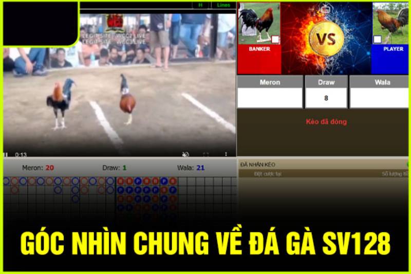 Giới Thiệu Sảnh Sv128 Tại Ev88 - Trải Nghiệm Đá Gà Đỉnh Cao 3 Mỗi trận đấu đều đảm bảo tính công bằng và minh bạch