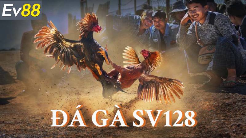 Giới Thiệu Sảnh Sv128 Tại Ev88 - Trải Nghiệm Đá Gà Đỉnh Cao 2 Trải nghiệm cá cược đa dạng và dễ dàng điều chỉnh