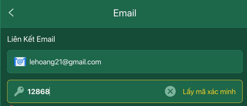 Hướng Dẫn Đăng Nhập Ev88 Và Phương Pháp Bảo Vệ Tài Khoản 5 Xac minh qua email